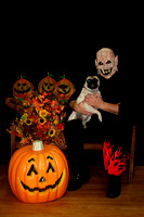 Dyersburg Dyer County Humane Society Halloween 2010